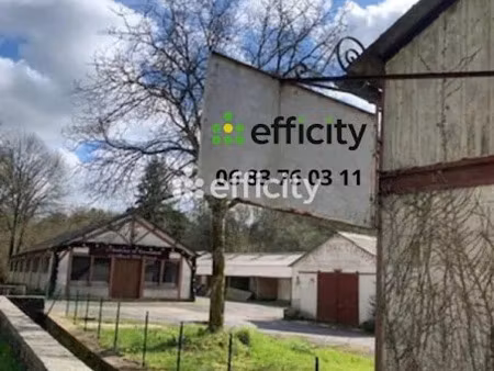 vente locaux professionnels 1 pièce 4269 m² à malansac (56220)  161 500 €