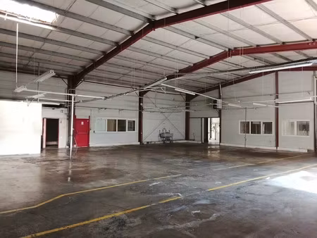 vente locaux professionnels 0 pièces 1360 m² à crissey (71530)  837 400 €