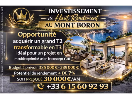 investissement de haut rendement mont boron (nice)