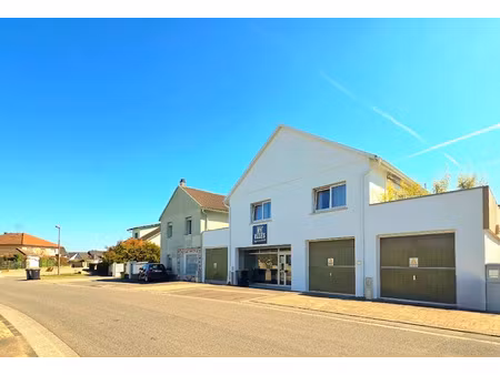 vente immeuble 270 m² à hombourg (68490)  549 000 €