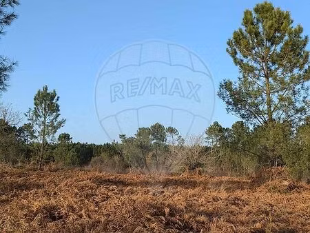 terrain 42 134 m² tartas