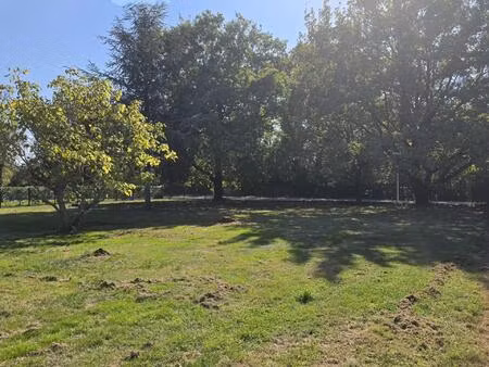 terrain plat et cloture