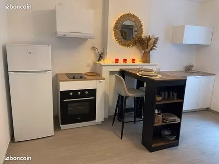 location maison 62 m² meublé lille