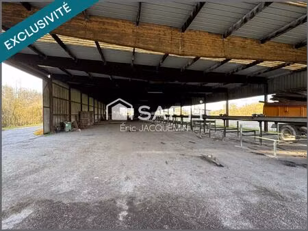 vente immeuble 2500 m² brieulles-sur-meuse (55110)