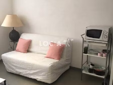 location appartement 1 pièce 24 m² à lyon 3 (69003)