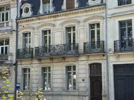 orleans  centre  a vendre  hôtel particulier 400 m²  jardin
