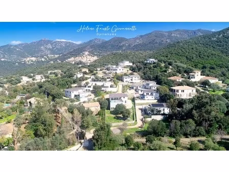 maison à vendre 5 pièces oletta (20)