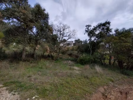 terrain vidauban 1200 m2