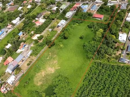 terrain 14 127 m² capesterre belle eau