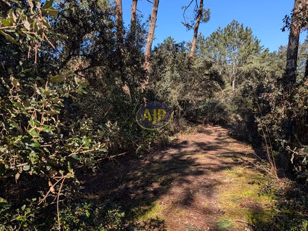 terrain le verdon sur mer 546 m2