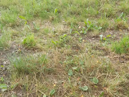 terrain à véron (89510)