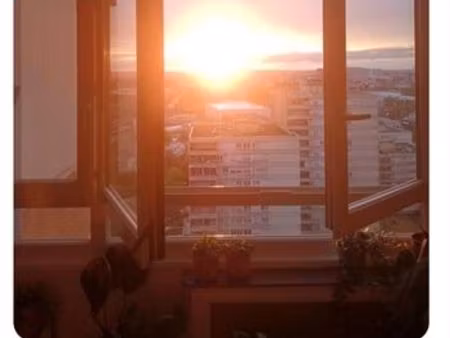 studio 24m2 / en hauteur / exposé ouest