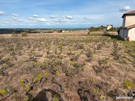 clos en appellation chénas