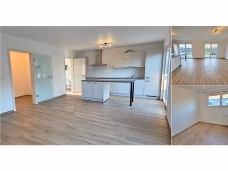 maison à louer avec terrasse et jardin   perwez (vbd99241)