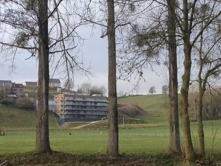 appartement à louer dalhem proche visé