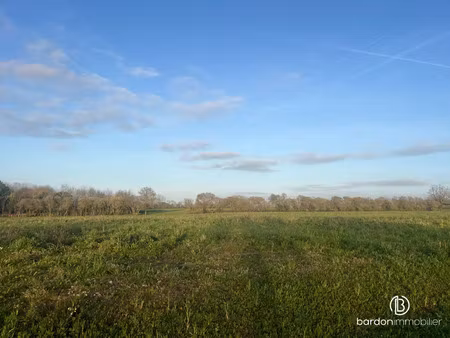 vente terrain à falleron (85670) : à vendre / 595m² falleron