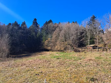 achat terrain 3 781m²