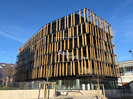 location local professionnel 3 685m² grenoble 38000