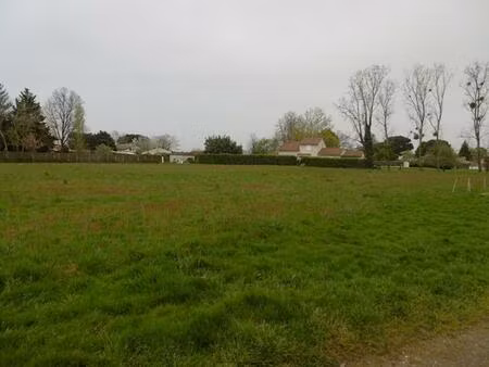 achat terrain 2 800m² langon 33210
