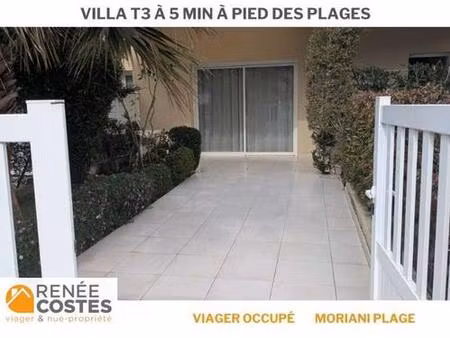 viager occupé - h69 ans - san nicolao (20230)