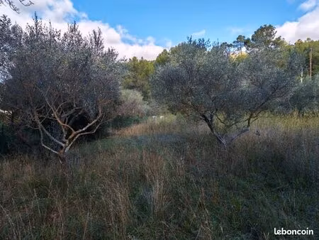 terrain 1 005 m² carnoules