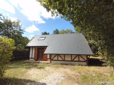 chalet 4p en pleine nature en sologne (prl avec piscine)