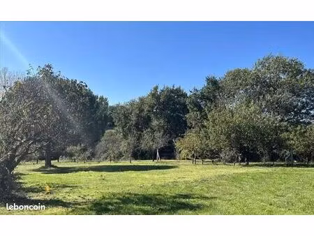 forêt 788 m² leguevin