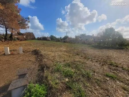 terrain 1 185 m² l ile d olonne