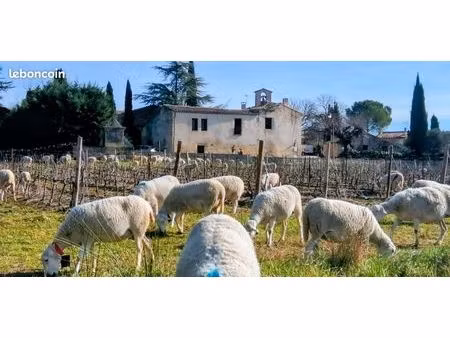 appartement 73 m² rénové – vue vignes – 2 chambres