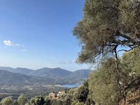 vente terrain 1124 m2 à olmeto