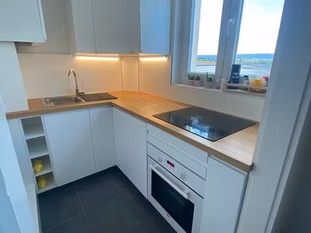 bel f3 meublé hyperfrontière + parkings