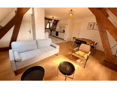 sully-sur-loire (45600)