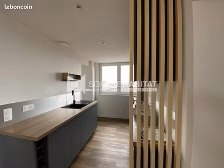 appartement 1 pièce 42 m²