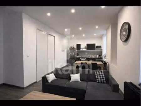 appartement à louer à rive de gier