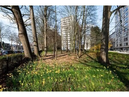 appartement te koop in antwerpen met 3 slaapkamers