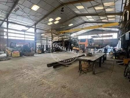 vente entrepôt villeneuve les bouloc 31620 2295m²