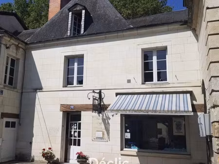 vente maison richelieu 37120 - - surface privée