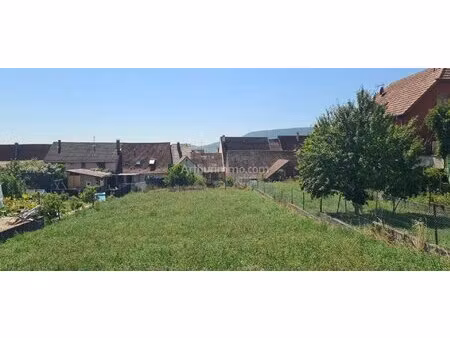 terrain a obermorschwihr