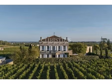 st emilion - élégante propriété avec vue sur les vignes  au cœur du village
