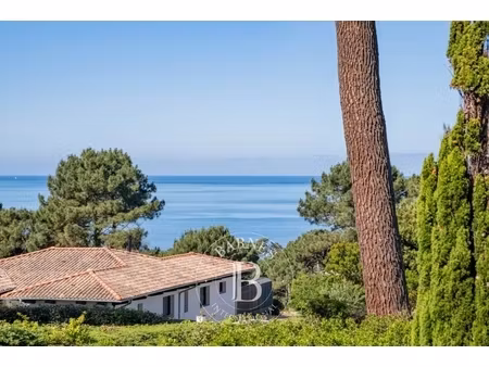annonce terrain à vendre