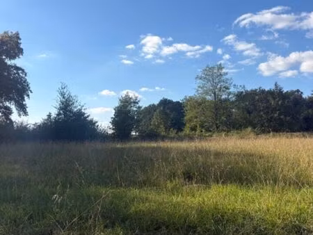 vente terrain 1200 m² asques (33240)