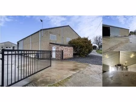 surface industrielle à louer à horrues (vbd99278)