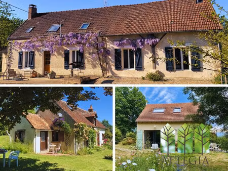achat maison 13 pièces 285m² sazeray 36160