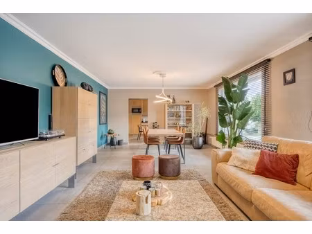 appartement te koop in lievegem met 5 slaapkamers