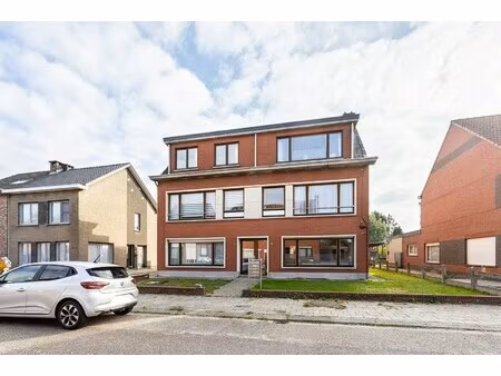 appartement te koop in wommelgem met 10 slaapkamers