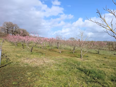 achat terrain 1 893m² confolens 16500