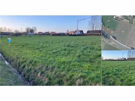 terrain agricole à vendre à zedelgemsestraat 2 ruddervoorde (rbv48068)