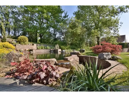 vente maison piscine à meroux (90400) : à vendre piscine / 175m² meroux