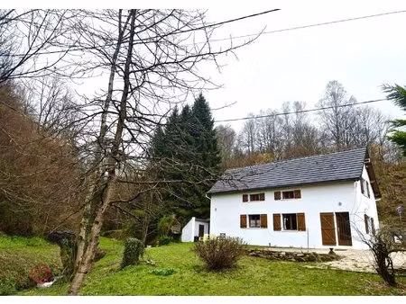 maison de montagne avec terrain et ruisseau