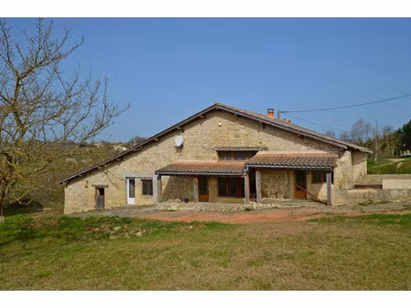 vente maison 4 pièces 166 m² lévignac-de-guyenne (47120)